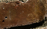 brick red