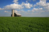 Farm Landscape