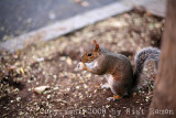 IMG_6578.jpg