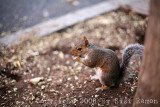 IMG_6579.jpg