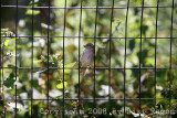 IMG_6660.jpg