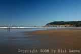 IMG_8631.jpg