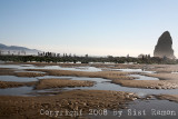 IMG_8640.jpg