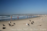 IMG_9259.jpg