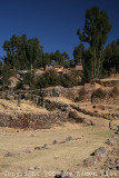 IMG_1093.jpg