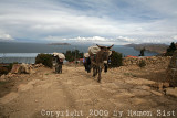 IMG_2449.jpg