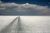 IMG_2645.jpg