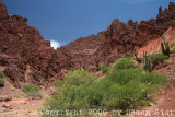 IMG_2863.jpg