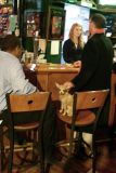 <br>Portrait Of A Small Dog In A Bar