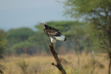 DSC_9364.jpg