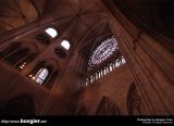 Cathedrale Notre-Dame de Paris