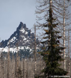 D3-110209_011.jpg