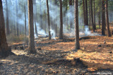 Controlled Burn