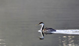 D3-102209_065.jpg