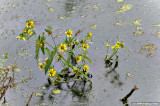D3-092809_143.jpg