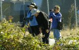 Birdwatchers