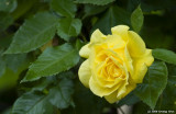 D3-061008-038.jpg