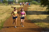 D3-062908-545.jpg