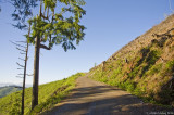 D3-061308-043.jpg