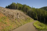 D3-061308-053.jpg