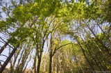 D3-061308-057.jpg