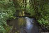PC-D3-061308-033.jpg