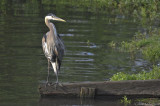 D3-060408-195.jpg