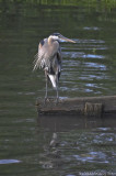 D3-060408-224.jpg