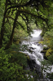 D3-060908-016.JPG