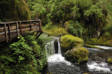 D3-060908-090.JPG