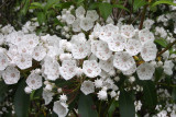 Photos of Gertrude's Nose Footpath