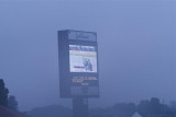 DSC00419 Small.JPG