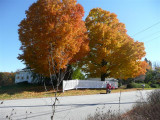 P1030267 Small.JPG