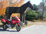 P1030255 Small.JPG