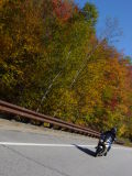 DSC03530.JPG