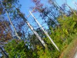 DSC03521.JPG