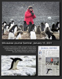 Penguin research