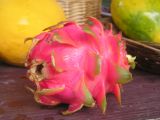 dragon fruit