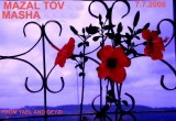 MAZAL TOV  MASHA.jpg