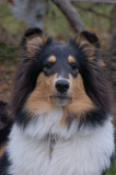 chloe_verkl3.jpg