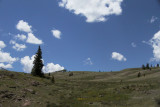 AUT_0923.JPG