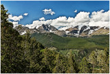 smallflrmnp9029.jpg