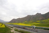 TDQL_010.jpg