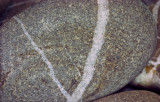 Letter V