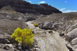 The Painted Desert Blue Mesa Trail