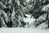 House Behind The Pines