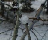 PC283926.JPG