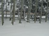 PC293929.JPG