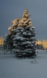 PC303972-1.JPG