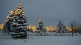 PC303972.JPG
